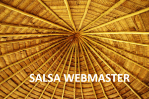 Terms of reference for SALSA webmaster