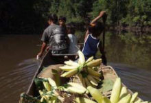 Teaching Lowland Syllabi