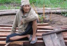 Teaching Lowland South America - Teaching experiences