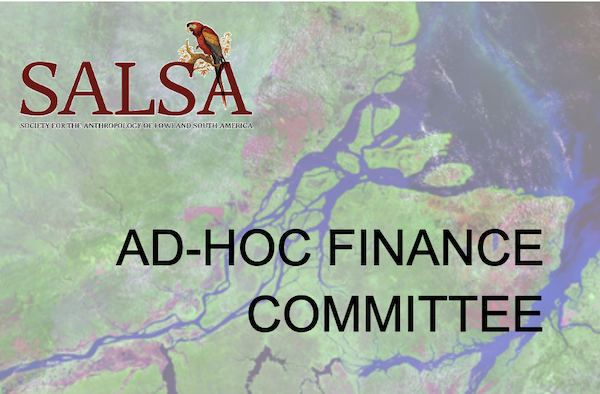 SALSA Ad-Hoc Finance Committee
